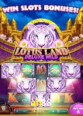 Casino Ao Vivo ah88